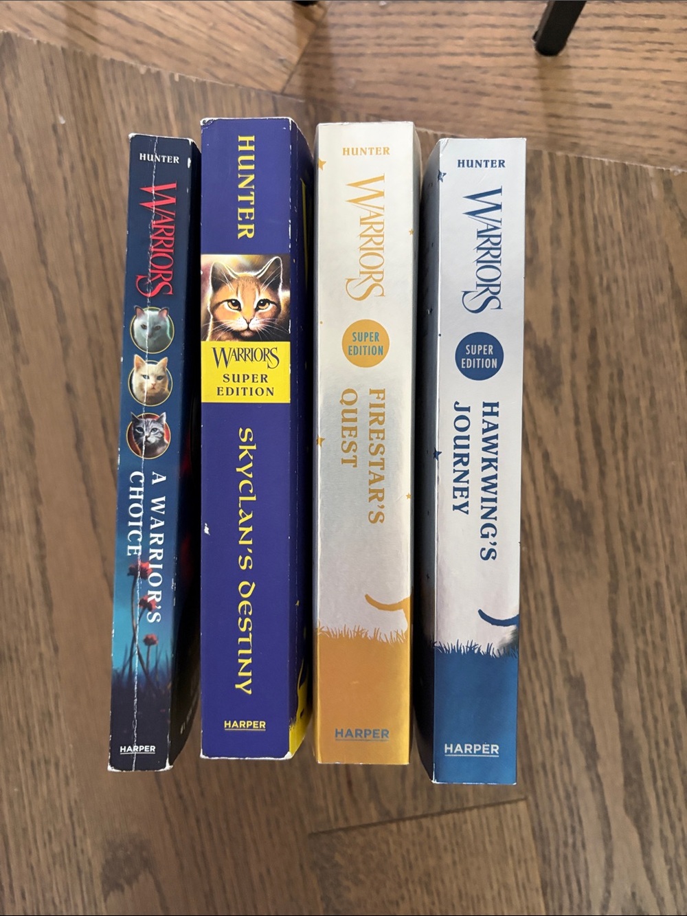 Warriors cats side books